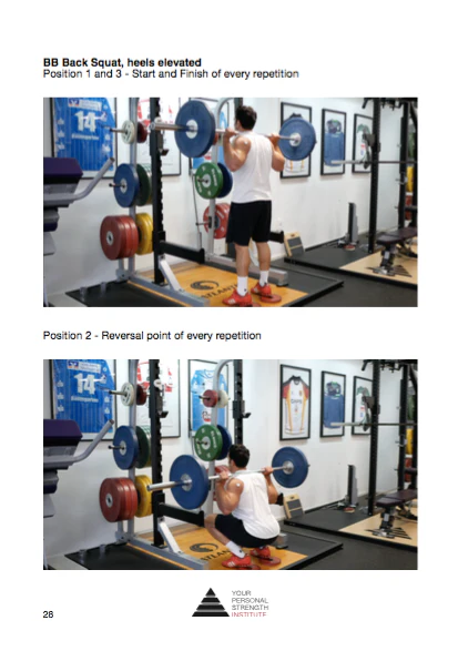 Advanced Strength and Mass Holiday - Image 15