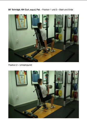 Strength and Mass Holiday (Deutsch) - Image 5